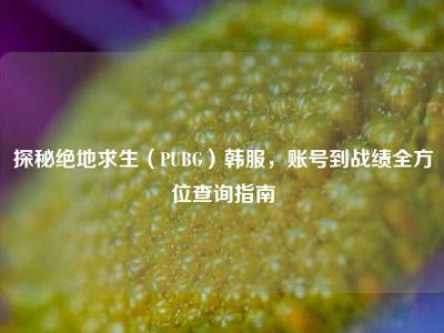 探秘绝地求生（PUBG）韩服，账号到战绩全方位查询指南