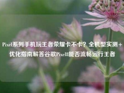 Pixel系列手机玩王者荣耀卡不卡？全机型实测+优化指南解答谷歌Pixel8能否流畅运行王者