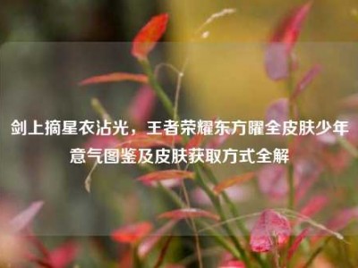 剑上摘星衣沾光，王者荣耀东方曜全皮肤少年意气图鉴及皮肤获取方式全解