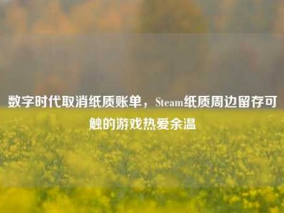 数字时代取消纸质账单，Steam纸质周边留存可触的游戏热爱余温