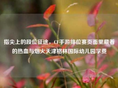 指尖上的段位征途，CF手游排位赛页面里藏着的热血与烟火天津格林国际幼儿园学费