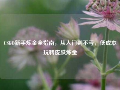 CSGO新手炼金全指南，从入门到不亏，低成本玩转皮肤炼金