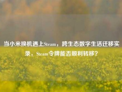 当小米换机遇上Steam，跨生态数字生活迁移实录，Steam令牌能否顺利转移？