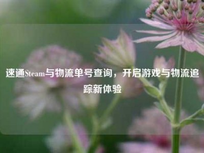 速通Steam与物流单号查询，开启游戏与物流追踪新体验