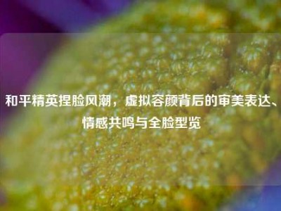 和平精英捏脸风潮，虚拟容颜背后的审美表达、情感共鸣与全脸型览