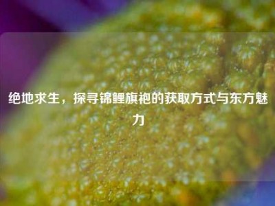 绝地求生，探寻锦鲤旗袍的获取方式与东方魅力