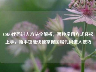 CSGO代码进入方法全解析，两种常用方式轻松上手，新手也能快速掌握国服代码进入技巧