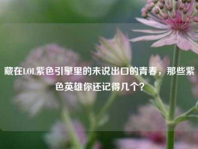 藏在LOL紫色引擎里的未说出口的青春，那些紫色英雄你还记得几个？