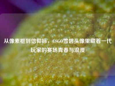 从像素框到信仰标，CSGO雪碧头像里藏着一代玩家的赛场青春与浪漫