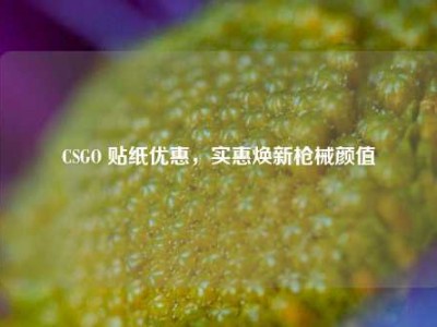 CSGO 贴纸优惠，实惠焕新枪械颜值