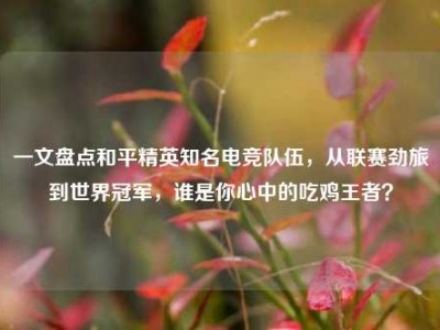 一文盘点和平精英知名电竞队伍，从联赛劲旅到世界冠军，谁是你心中的吃鸡王者？