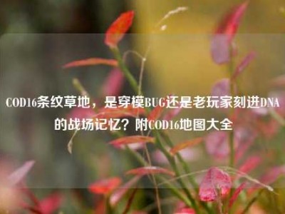 COD16条纹草地，是穿模BUG还是老玩家刻进DNA的战场记忆？附COD16地图大全