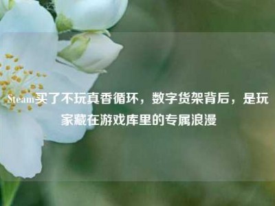 Steam买了不玩真香循环，数字货架背后，是玩家藏在游戏库里的专属浪漫
