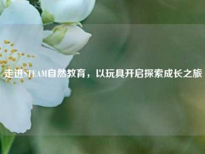 走进STEAM自然教育，以玩具开启探索成长之旅