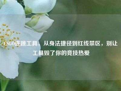 CSGO连跳工具，从身法捷径到红线禁区，别让工具毁了你的竞技热爱
