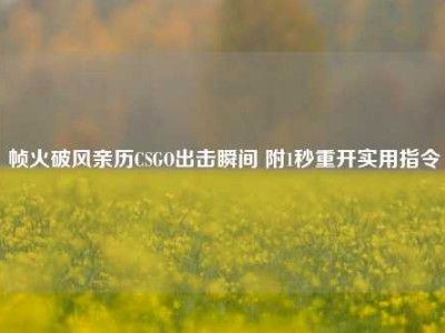 帧火破风亲历CSGO出击瞬间 附1秒重开实用指令