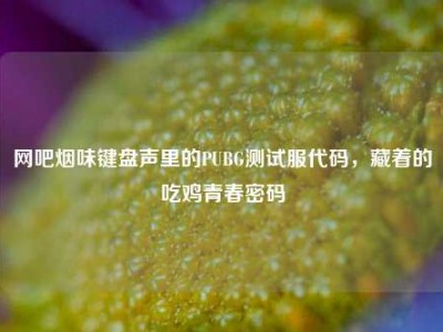 网吧烟味键盘声里的PUBG测试服代码，藏着的吃鸡青春密码