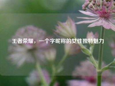 王者荣耀，一个字昵称的女性独特魅力