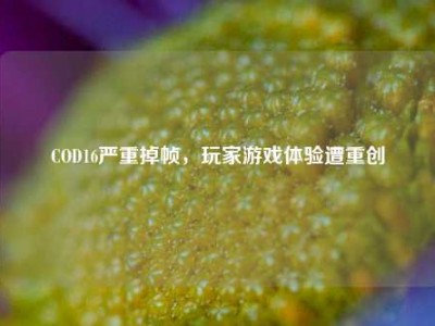 COD16严重掉帧，玩家游戏体验遭重创