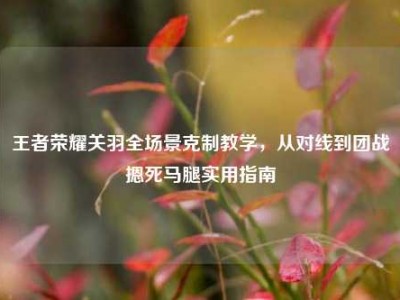 王者荣耀关羽全场景克制教学，从对线到团战摁死马腿实用指南