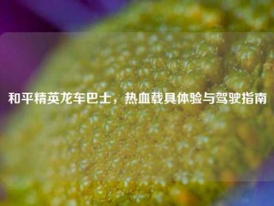 和平精英龙车巴士，热血载具体验与驾驶指南