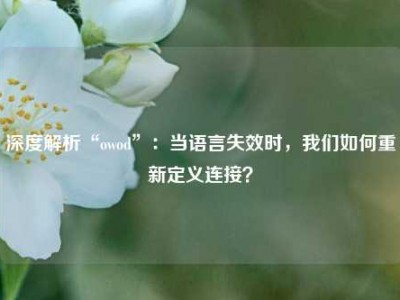 深度解析“owod”：当语言失效时，我们如何重新定义连接？