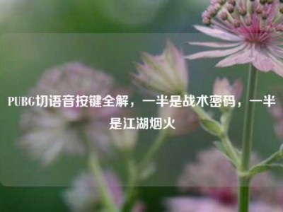 PUBG切语音按键全解，一半是战术密码，一半是江湖烟火