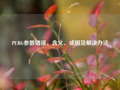 PUBG参数错误，含义、成因及解决办法