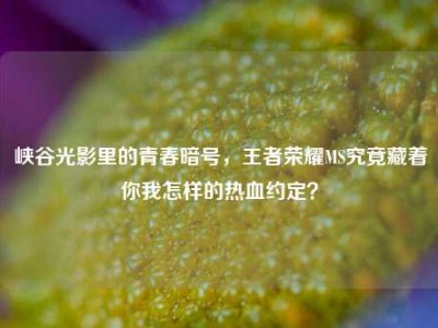 峡谷光影里的青春暗号，王者荣耀MS究竟藏着你我怎样的热血约定？
