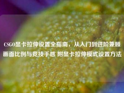 CSGO显卡拉伸设置全指南，从入门到进阶兼顾画面比例与竞技手感 附显卡拉伸模式设置方法
