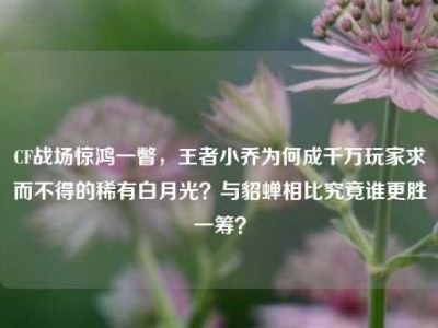 CF战场惊鸿一瞥，王者小乔为何成千万玩家求而不得的稀有白月光？与貂蝉相比究竟谁更胜一筹？