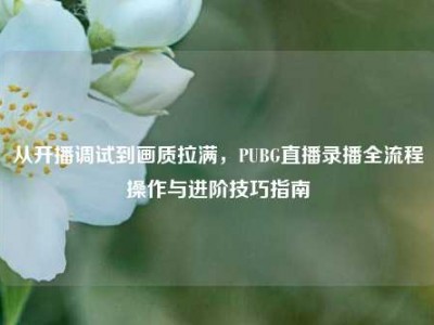 从开播调试到画质拉满，PUBG直播录播全流程操作与进阶技巧指南