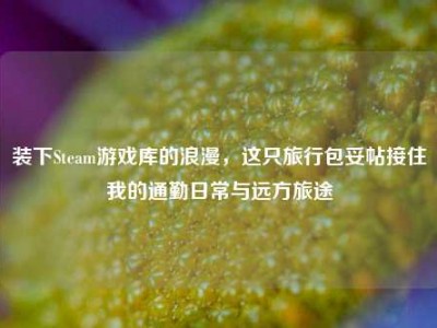 装下Steam游戏库的浪漫，这只旅行包妥帖接住我的通勤日常与远方旅途