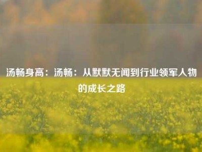 汤畅身高：汤畅：从默默无闻到行业领军人物的成长之路