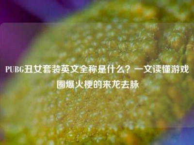 PUBG丑女套装英文全称是什么？一文读懂游戏圈爆火梗的来龙去脉