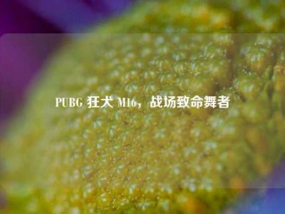 PUBG 狂犬 M16，战场致命舞者