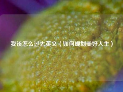 我该怎么过去英文（如何规划美好人生）