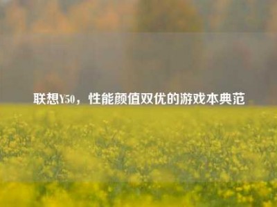 联想Y50，性能颜值双优的游戏本典范
