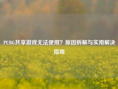 PUBG共享游戏无法使用？原因拆解与实用解决指南