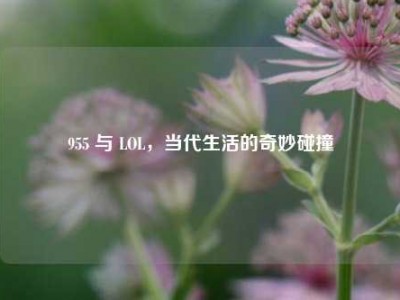 955 与 LOL，当代生活的奇妙碰撞