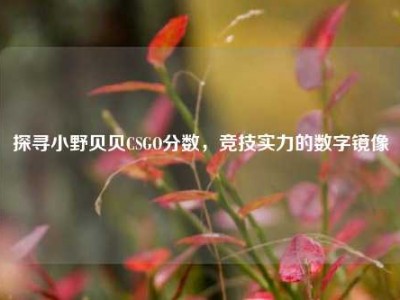 探寻小野贝贝CSGO分数，竞技实力的数字镜像