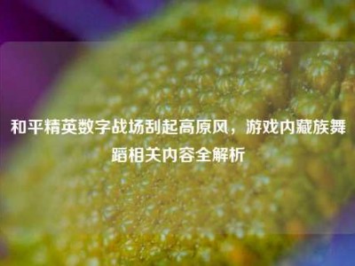 和平精英数字战场刮起高原风，游戏内藏族舞蹈相关内容全解析