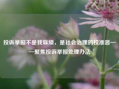 投诉举报不是找麻烦，是社会治理的校准器——聚焦投诉举报处理办法