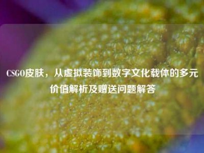 CSGO皮肤，从虚拟装饰到数字文化载体的多元价值解析及赠送问题解答