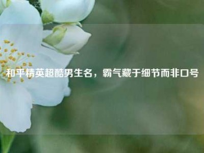和平精英超酷男生名，霸气藏于细节而非口号