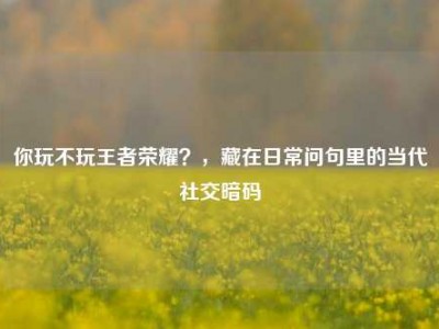 你玩不玩王者荣耀？，藏在日常问句里的当代社交暗码