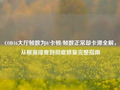 COD16大厅帧数为0/卡顿/帧数正常却卡滞全解，从根源排查到彻底修复完整指南