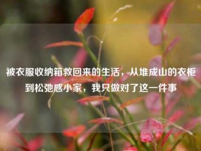 被衣服收纳箱救回来的生活，从堆成山的衣柜到松弛感小家，我只做对了这一件事