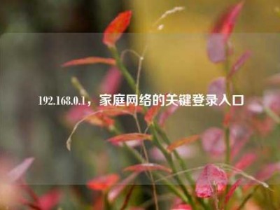 192.168.0.1，家庭网络的关键登录入口