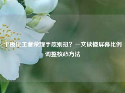 平板玩王者荣耀手感别扭？一文读懂屏幕比例调整核心方法